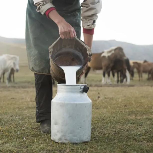 Sehat Dengan Sumbagold