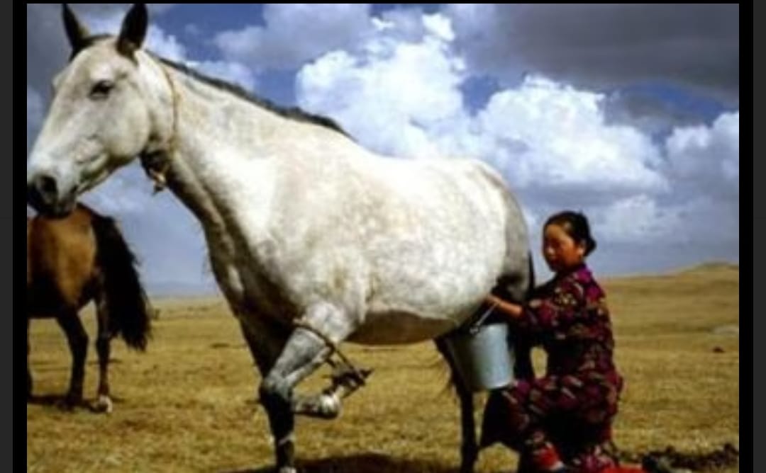 About Gallery Image 3